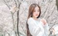 你最有才第六季